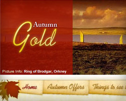 Autumn Gold Campaign