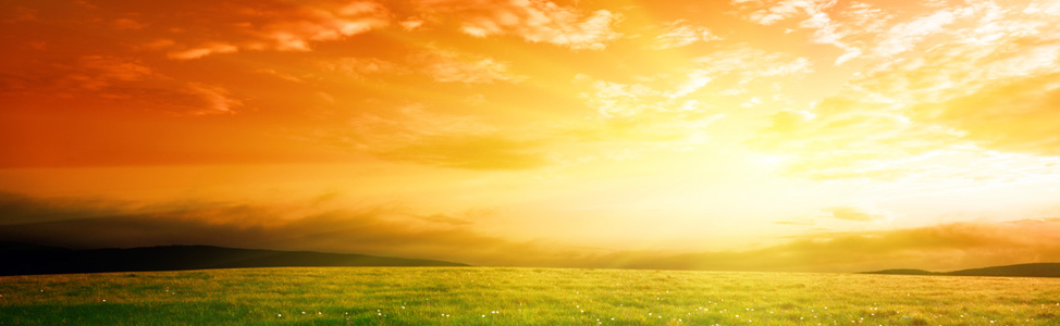 Hypnotherapy. Gentle, fast and effective therapy for mind and body