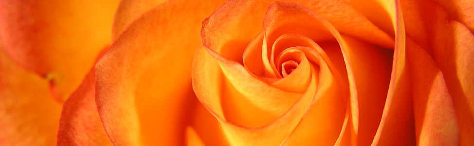 Hypnotherapy. Gentle, fast and effective therapy for mind and body
